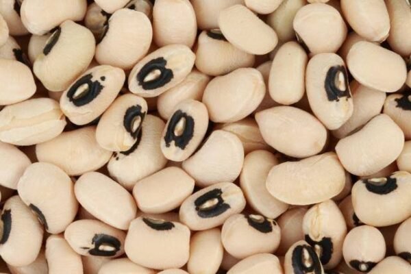 Cowpea Beans white Organic 1000g
